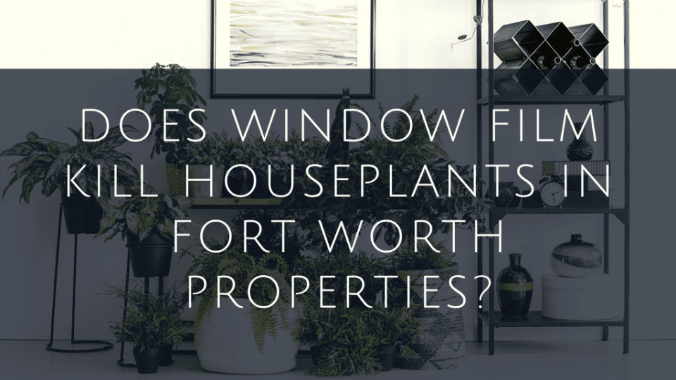 window film houseplants fort worth