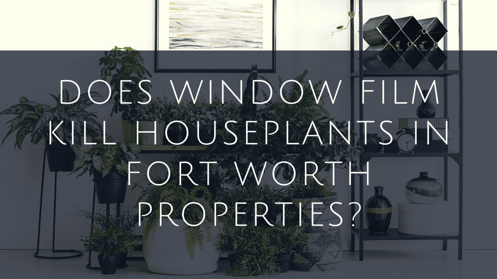 window film houseplants fort worth
